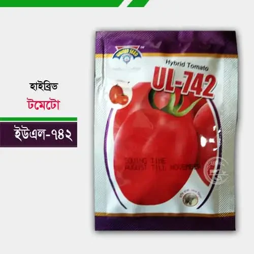 ইউ এল ৭৪২ হাইব্রিড টমেটো UL 742 hybrid tomato