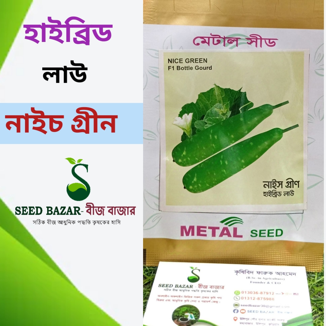 হাইব্রিড লাউ বীজ 'নাইস গ্ৰীণ' / F1 hybrid Gourd seed "Nice Green""