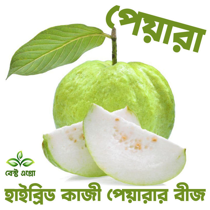 Guava (peyara)