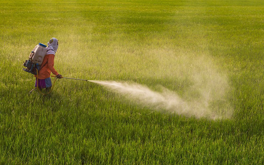 Pesticides