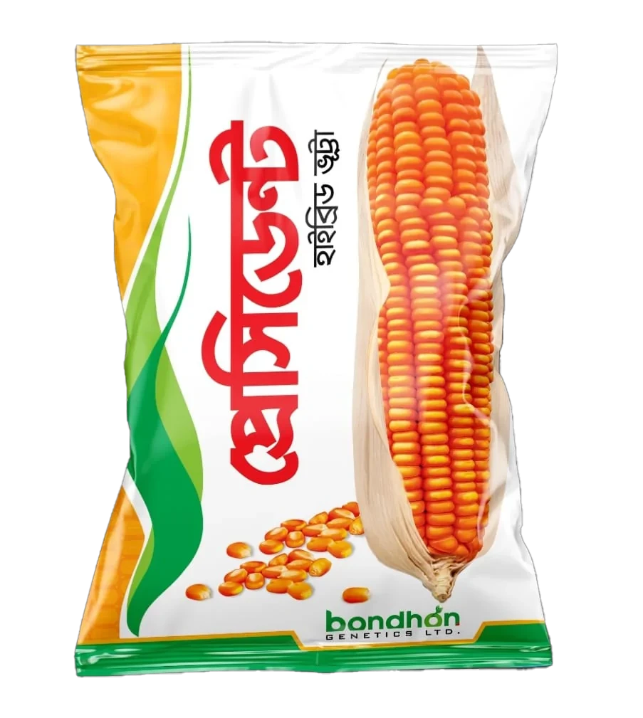 হাইব্রিড ভূট্টা বীজ 'প্রেসিডেন্ট' / F1 hybrid corn seed "president""